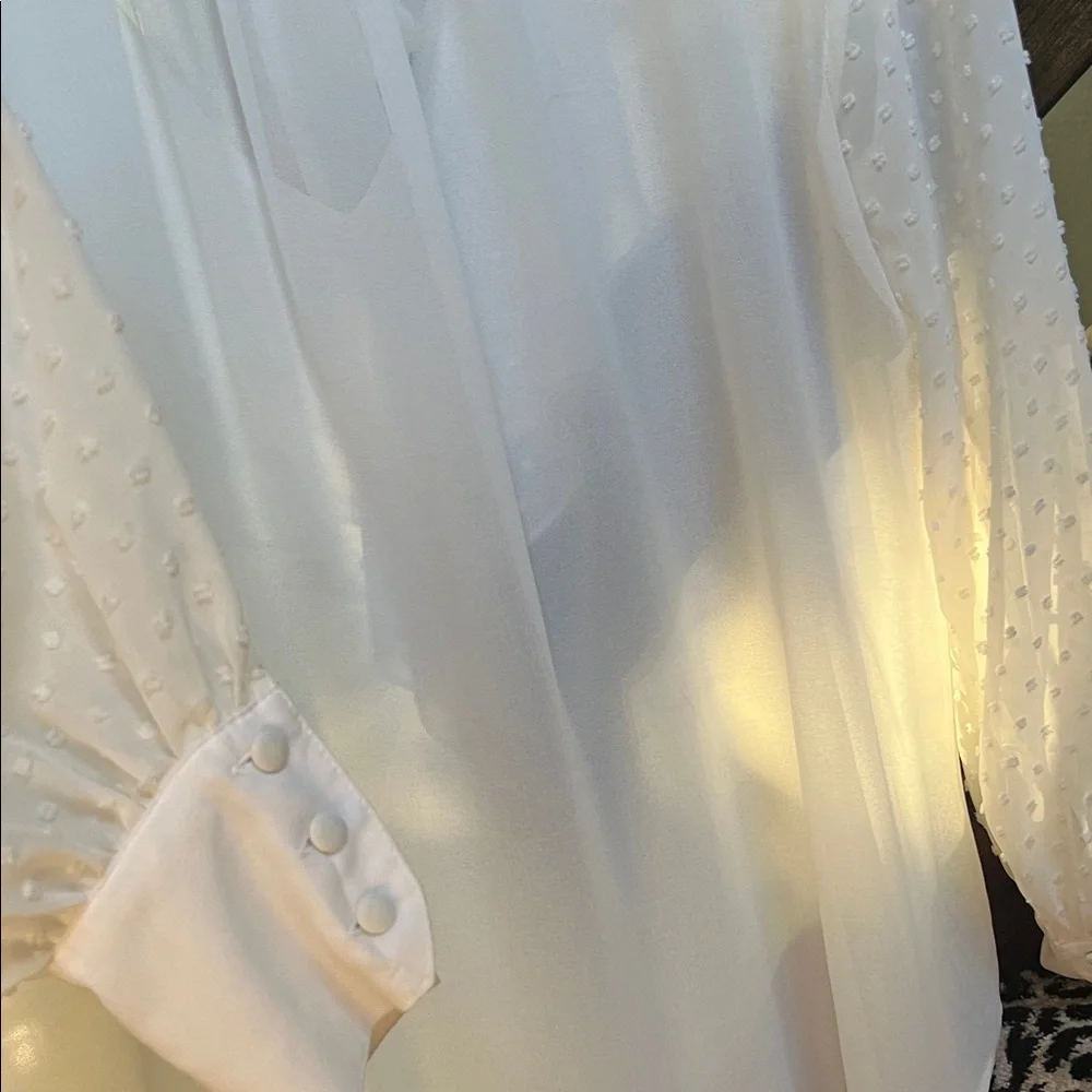 Elegant White Ruffled Blouse - Picture 11 of 11